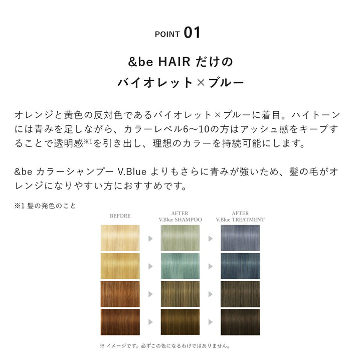 ＆be Color Treatment V.Blue 180g