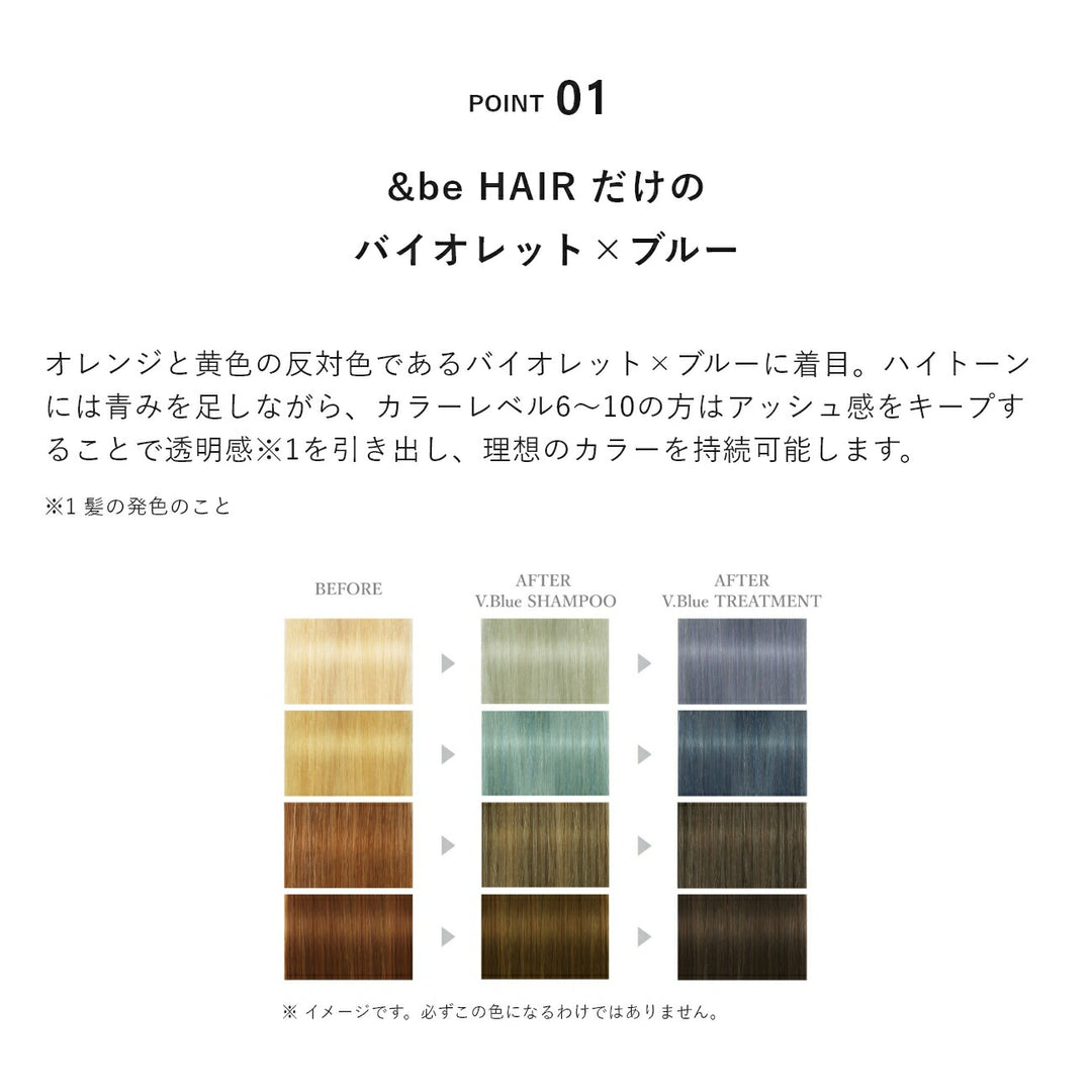 ＆be Color Shampoo V.Blue 280mL